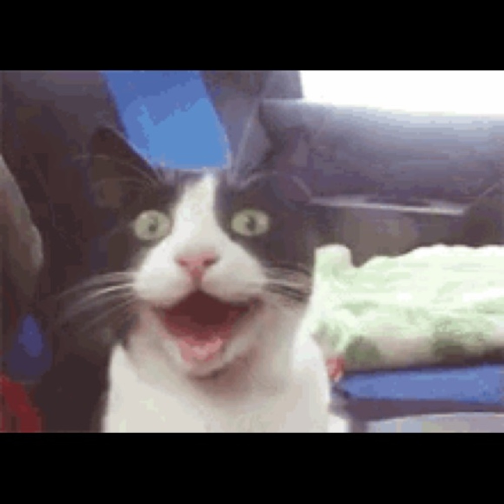 Meet your Posher, Silver